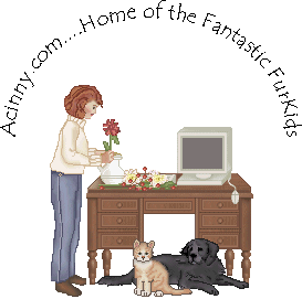 Acinny's Computer
