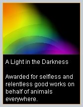 Light In The Darkness Award