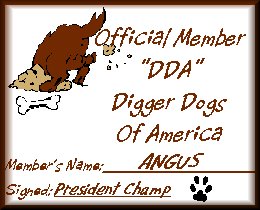 Angus's DDA Membership Card