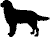 Flatcoat Icon