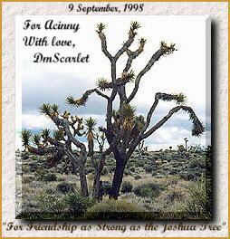 Joshua Tree Award