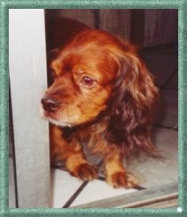 Benny