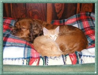 Benny & Mouse