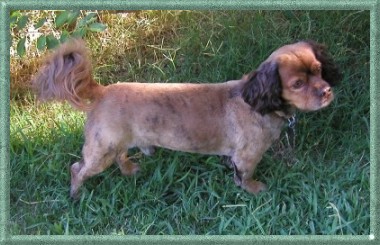 Benny Shaved