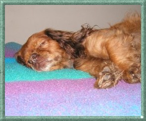 Benny Snoozin'