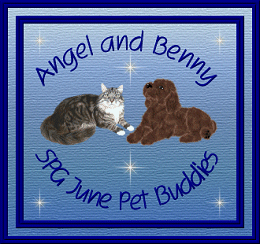 Angel & Benny SPG June Pet Buddies