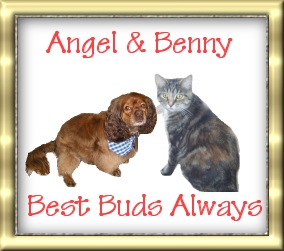 Angel & Benny Best Buds Always