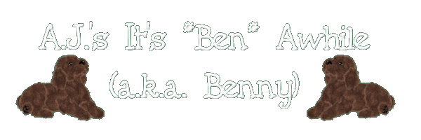 A.J.'s It's Ben Awhile (a.k.a. Benny)