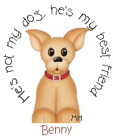 He's Not My Dog He's My Best Friend
