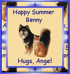 Happy Summer Benny From Angel