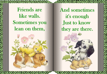Friends Are Like Walls Book