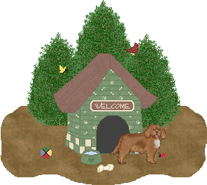 Benny & Dog House