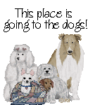 This Place Is Going To The Dogs