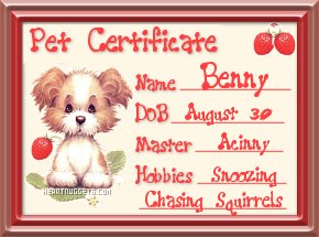 Benny's Birth Certificate From Angel