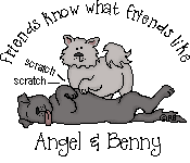 Tummy Scratch From Angel To Benny