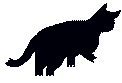 Black Cat