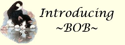 Introducing ~BOB~
