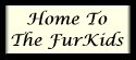 Home To The FurKids