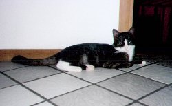 BOB Inside