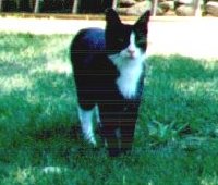 BOB Outside