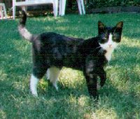 BOB Outside Again