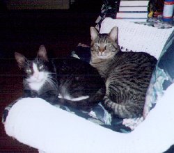 The Butt Brothers