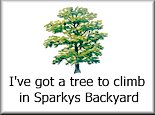 I Climbed A Tree In Sparky's Backyard