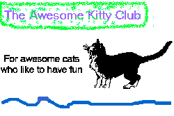 Awesome Kitty Club