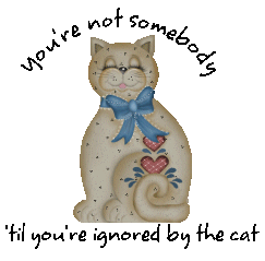 You're Not Somebody 'Til You're Ignored By The Cat