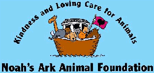 Noah's Ark