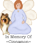 In Memory Of ~Cinnamon~