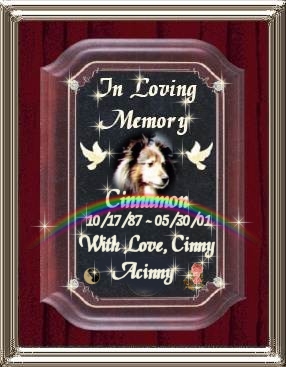 Memorial Plaque For Cinny