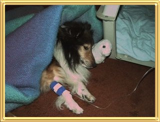 Cinny's Last
Picture