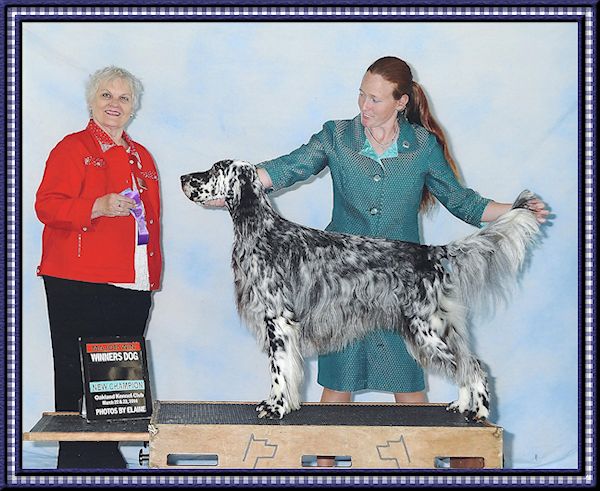Smokey New Champion
