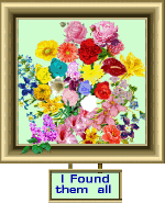 I Found Them All
