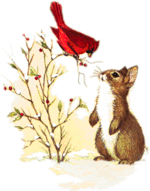 Cardinal With Bunny