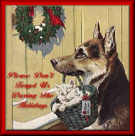 Please Don't Forget Us During The Holidays