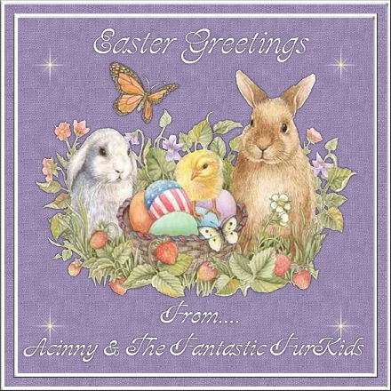 Easter Greetings From Acinny & The Fantastic FurKids