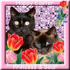 Happy Easter From Vicky, Princess & Bear