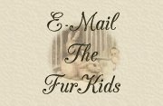Mail