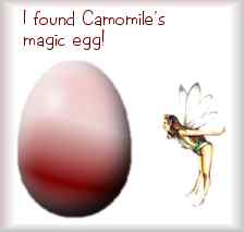 I Found Camomile's Magic Egg