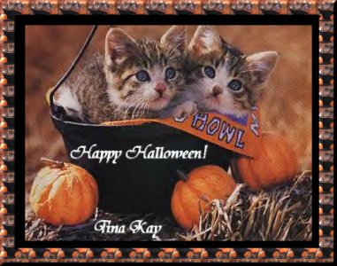 Happy Halloween From Tina Kay