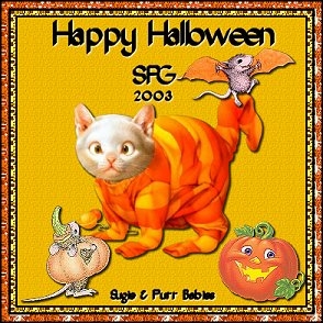 Happy Halloween From Sugie & Purr Babies