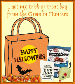 Gremlin Trick Or Treat Bag Of Goodies