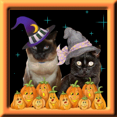 Princess & Bear Halloween Card