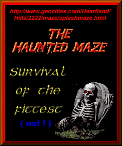 The Haunted Maze