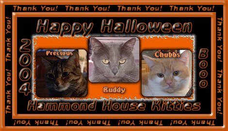 Thank You From The Hammond House Kitties