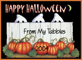 Happy Halloween From My Tabbies