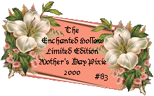 2000 Adoption Certificate