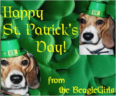 Happy St. Patrick's Day From The Beagles Girls